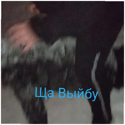 Sticker Хуй - 0