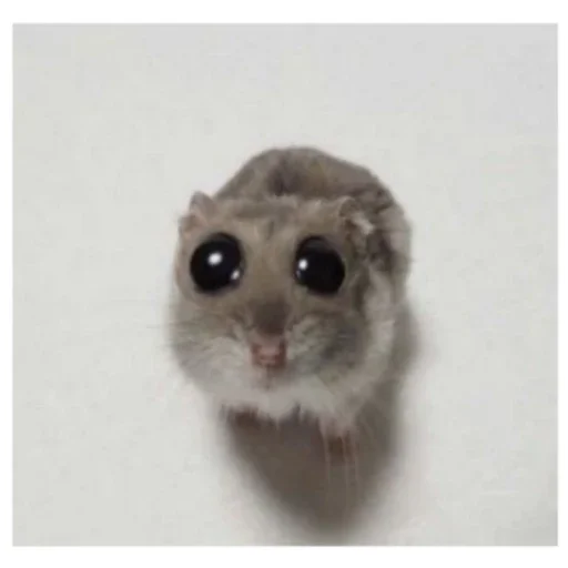 Хуй знает что - 