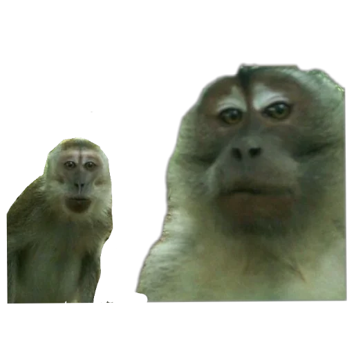 Sticker Hujnya8178 - 1