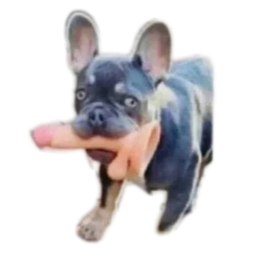 Sticker Hujnya8178 - 1