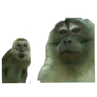 Стикер Хуйня - 11