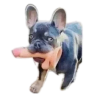 Стикер Хуйня - 1