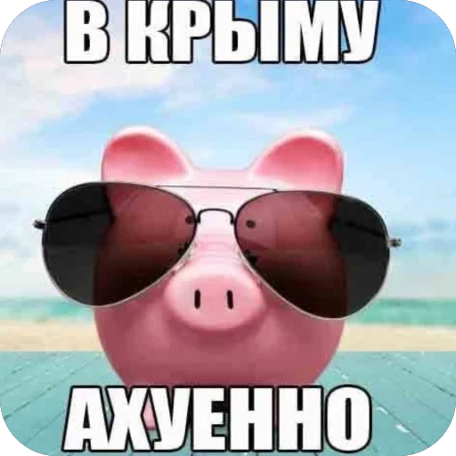 Sticker HujnyaDlyaEblanov228 - 1