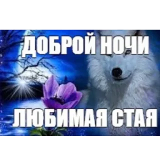 Sticker Хуйня для ебланов 228 - 2