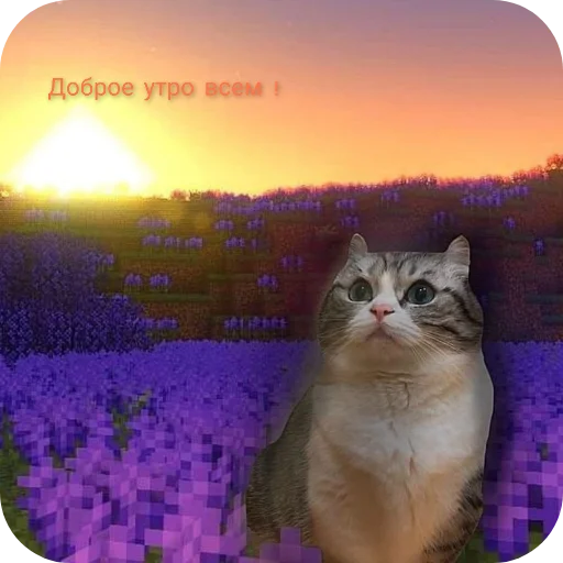 Sticker HujnyaOtChakopayaOrig - 1