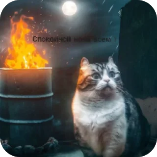 Стикер Хуйня от чакопая (ориг ) - 2