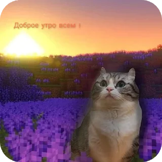 Стикер Хуйня от чакопая (ориг ) - 5