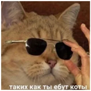 Стикер Сначала - 8