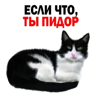 Стикер Сначала - 1