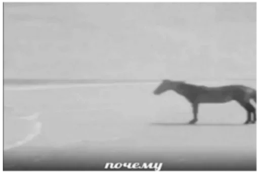 животное млекопитающее на открытом воздухе