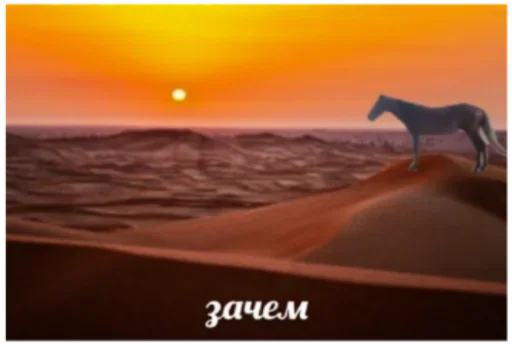 небо животное заход солнца