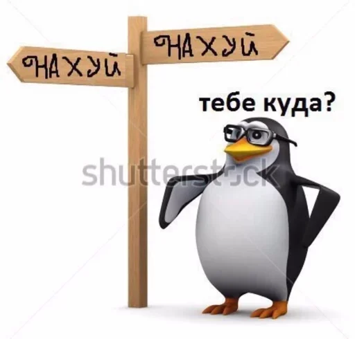 водная птица СМС пингвин