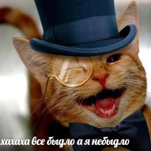 Привет от @humorwindow - text