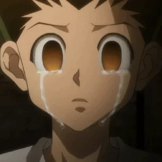 Стикер Hunter X Hunter // @ZoldyckStickers - 3