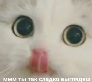 Sticker нунасть - 2