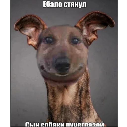 Стикер HuyMoshonkaObed - 1