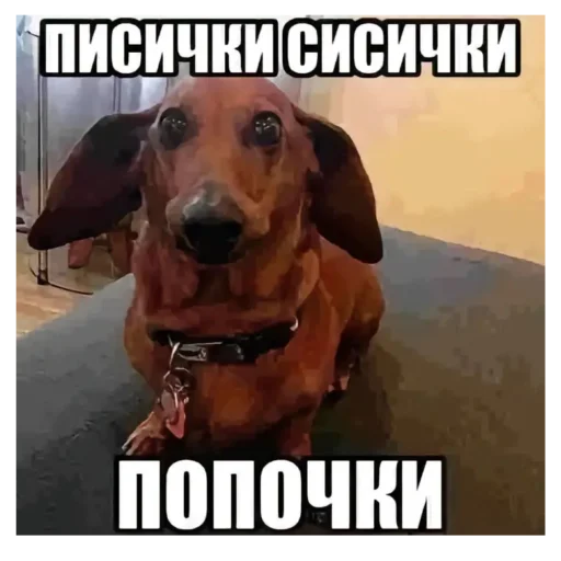 Рак уретры 2::@StickeryZombaka - 