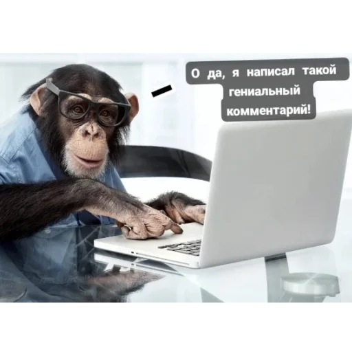 Стикер HuyMoshonkaObed - 1