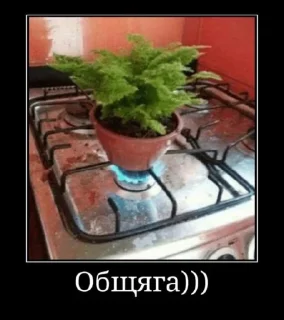 Sticker Ебу чугун @MoiStikiBot - 0