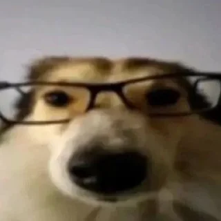 Sticker Больше стиков тут: @stikery4 - 3