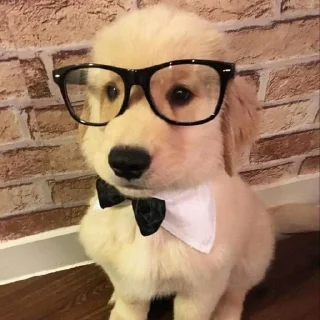 Sticker Больше стиков тут: @stikery4 - 10