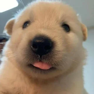 Sticker Больше стиков тут: @stikery4 - 2