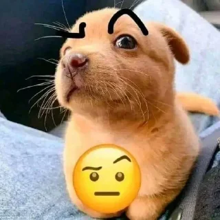 Sticker Больше стиков тут: @stikery4 - 11