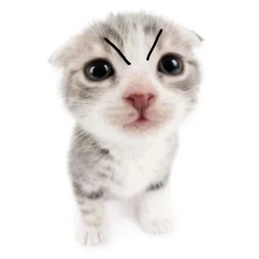 Стикер HwLkOOXwsdmOsHa_by_stickers_stealer_bot - 1