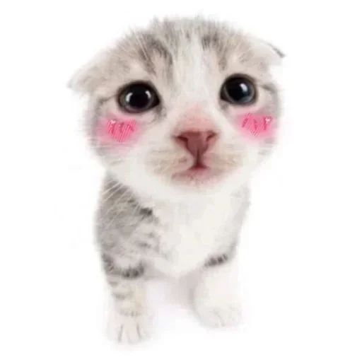 Sticker HwLkOOXwsdmOsHa_by_stickers_stealer_bot - 1