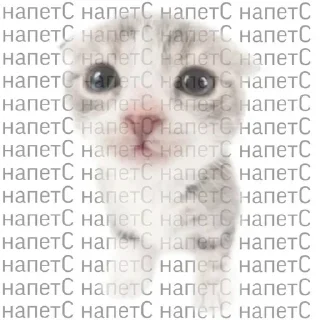 Sticker Стикеры: @sticktalkru - 6