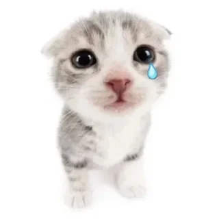 Sticker Стикеры: @sticktalkru - 10