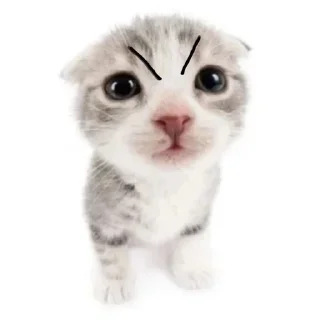 Sticker Стикеры: @sticktalkru - 7