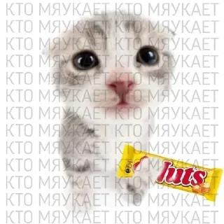 Sticker Стикеры: @sticktalkru - 1