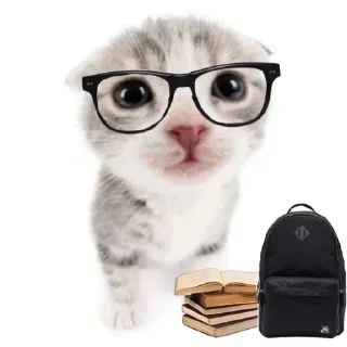 Sticker Стикеры: @sticktalkru - 11