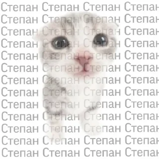 Sticker Стикеры: @sticktalkru - 9