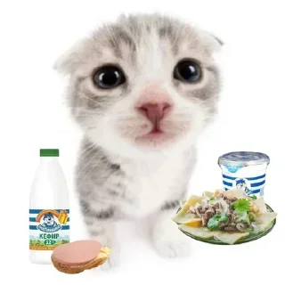 Sticker Стикеры: @sticktalkru - 2