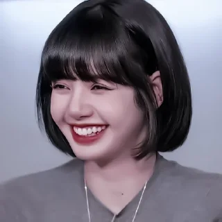 Sticker 贵 — 🗯️ ، 𝗟𝗮𝗹𝗶𝘀𝗮 𝗠𝗮𝗻𝗼𝗯𝗮𝗻𑁤 ۪ ࣪ ۫ - 4