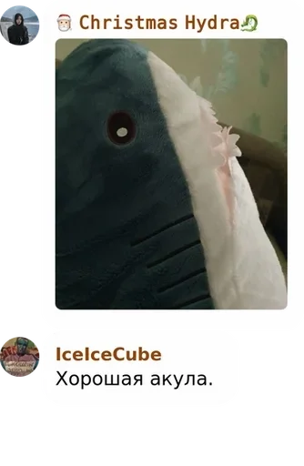 text screenshot animal