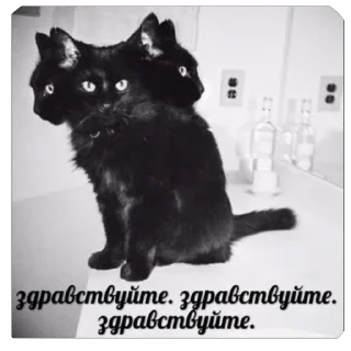 Стикер Хых - 9