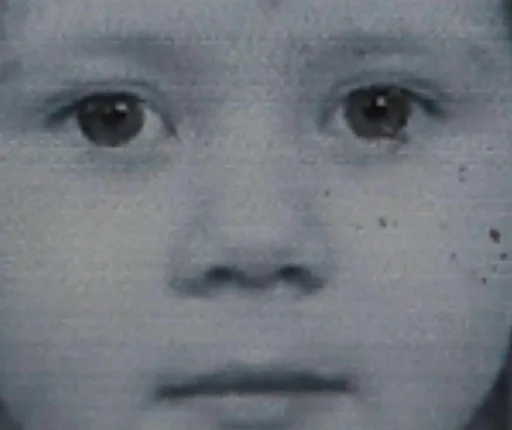 human face eyebrow cheek