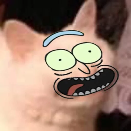 мультфильм кошка млекопитающее