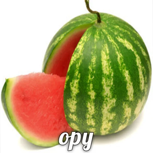 фрукт дыня цитруллус