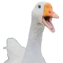 Стикер Hysteric birds - 2