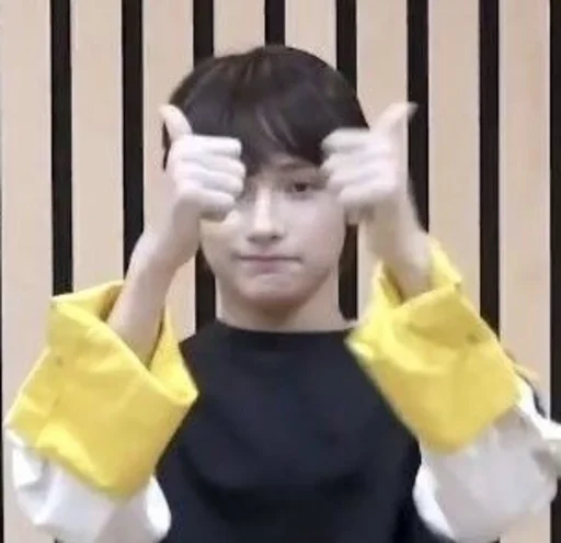 Человек человеческое лицо комнатный