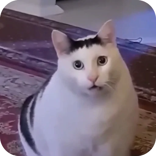 Стикер Hz818177711 - 1