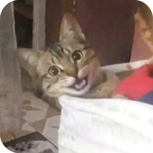 Стикер Hz818177711 - 1