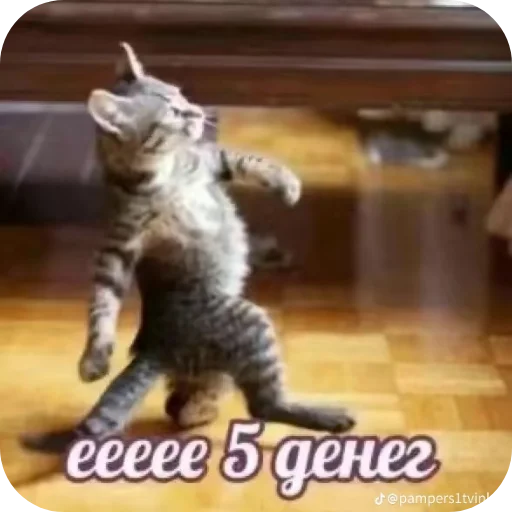 Sticker Hz818177711 - 1