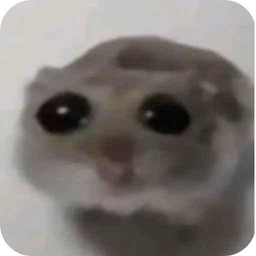 Стикер Hz818177711 - 1