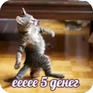 Sticker Хз818177711 - 2