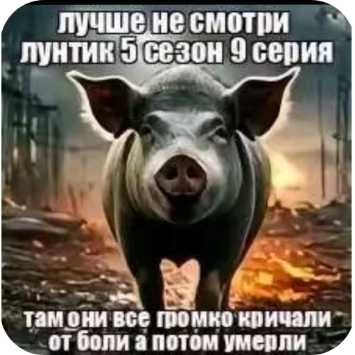 Стикер HzChoEhta55 - 1